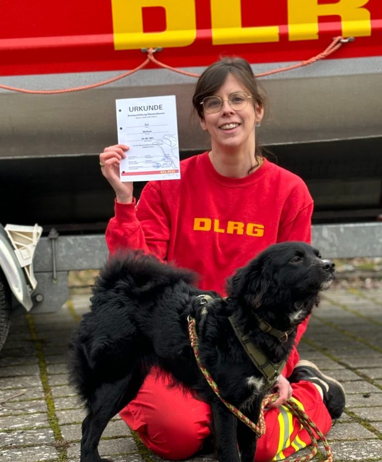 Hüttehund-Mix-Hündin Lina beim bestandenen DLRG-Rettungshunde-Eignungstest