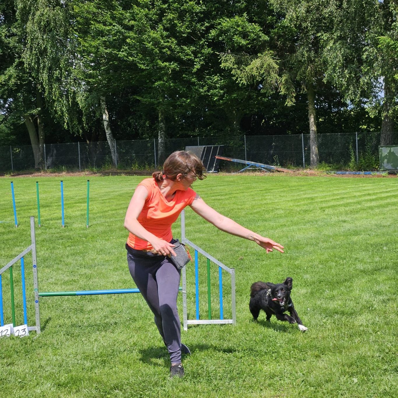 Lina beim Agility Agility & cross´n´fun