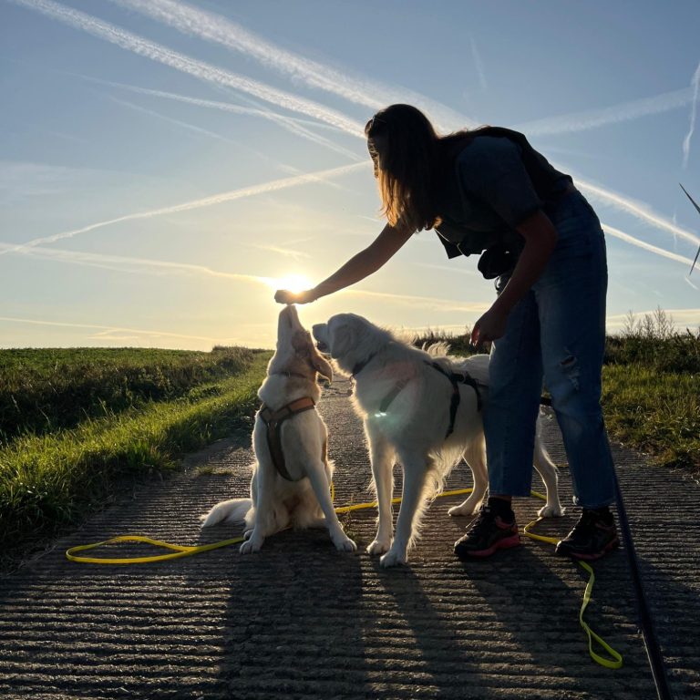 Training während dem Spaziergang - es gibt nichts Schöneres