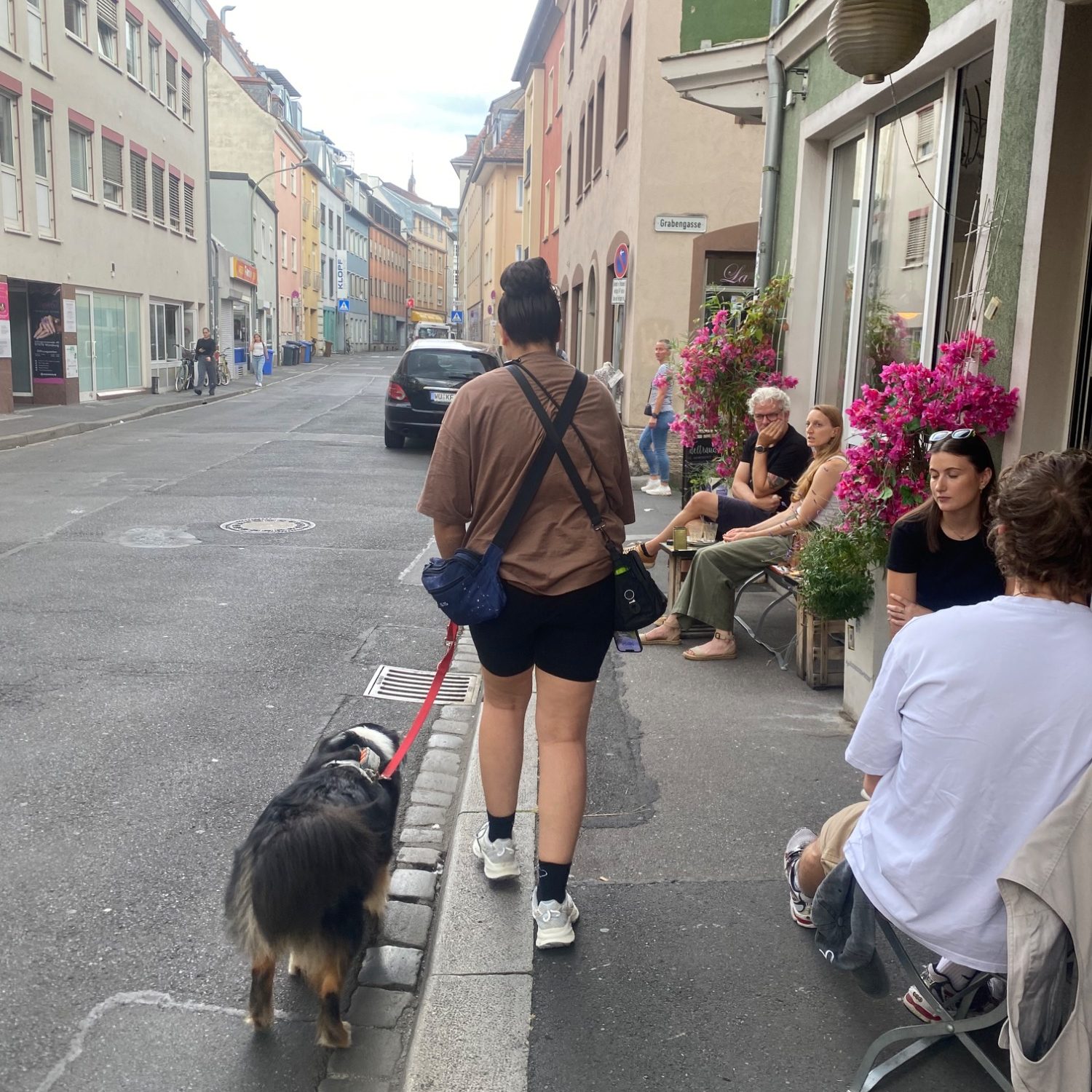 Alltag statt Hundeplatz Alltag statt Hundeplatz
