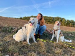 Ob Frühling, Sommer, Herbst oder Winter - Social Walk geht immer.