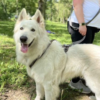 Welpe Emma mit wenigen Wochen im eigenen Zuhause